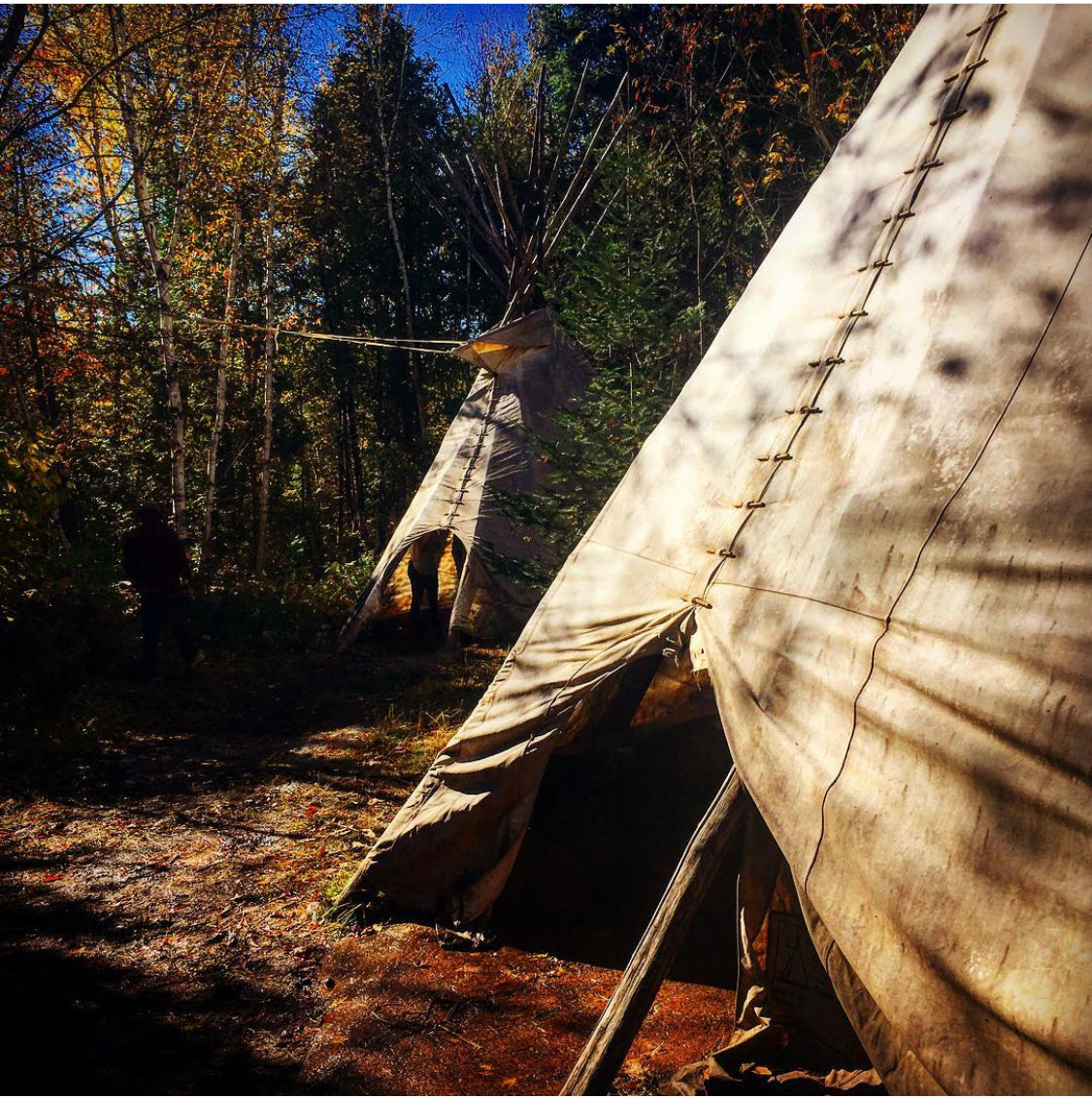 2 tipis in a northern Ontario forest in autumn